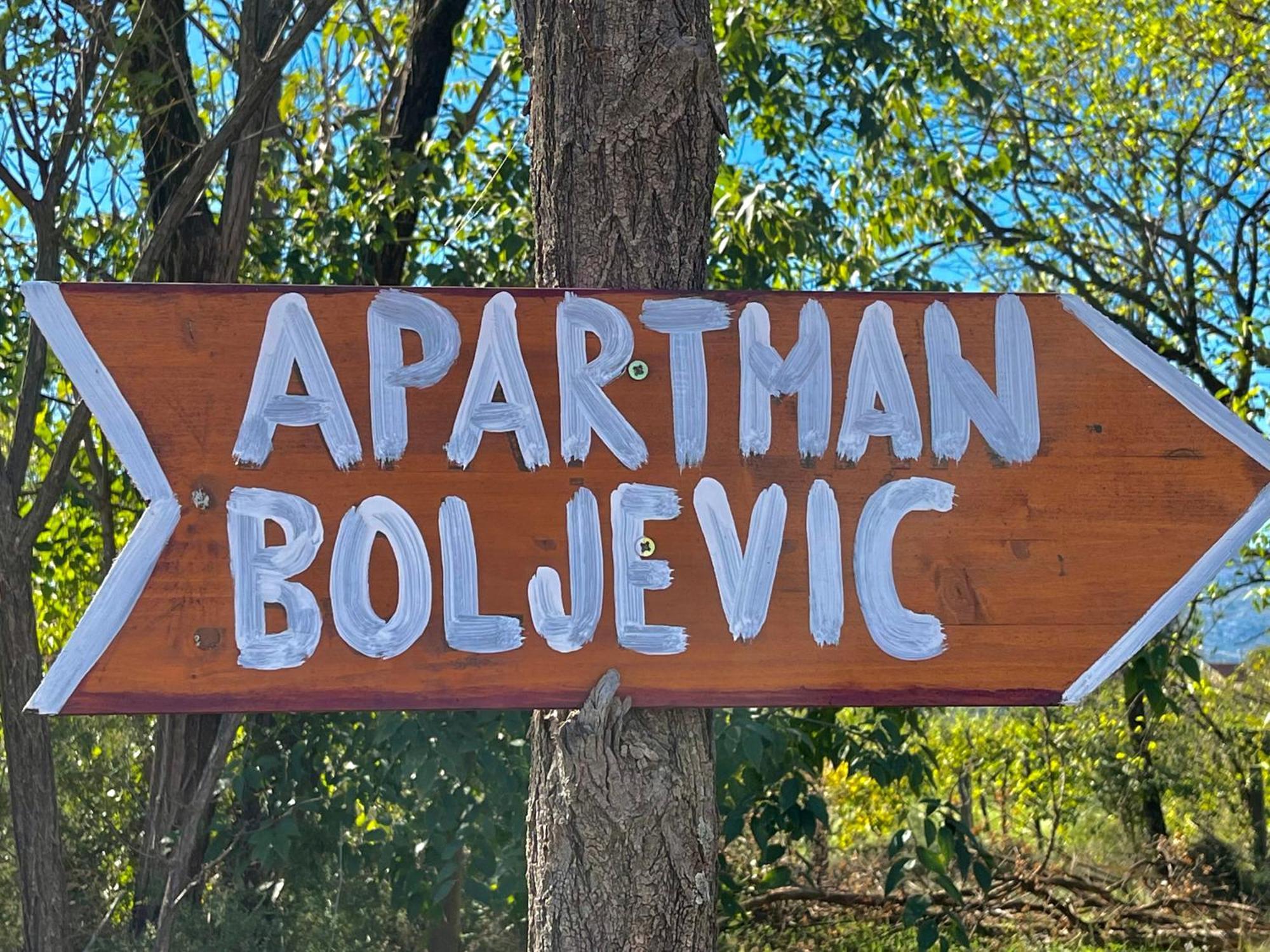 Appartement Boljevic *